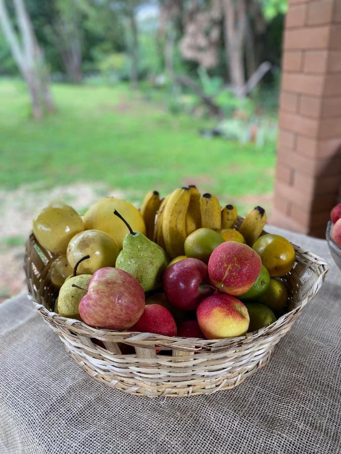 Casa Ferreira Lodge *